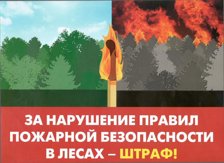 Ответственность за нарушение правил пожарной безопаности в лесах. Ответственность за нарушение правил пожарной безопаности в лесах.